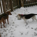 Belle and Georgia in the snow