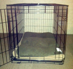 Georgia's dog crate