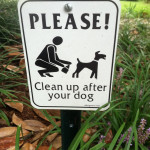 Clean up after your dog sign