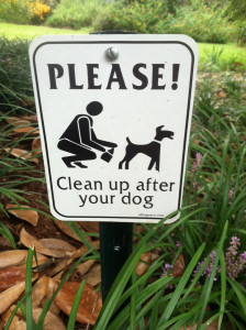 Clean up after your dog sign
