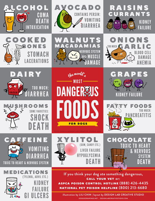 Dangerous foods for dogs infographic