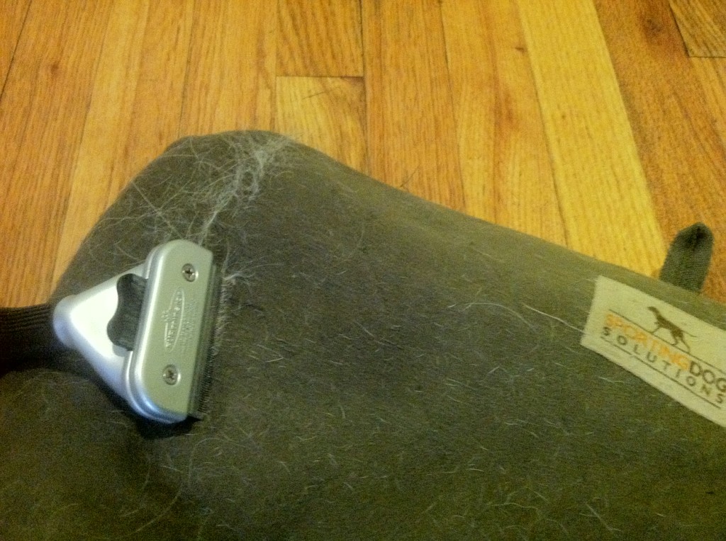 How do I remove dog hair from a dog bed?