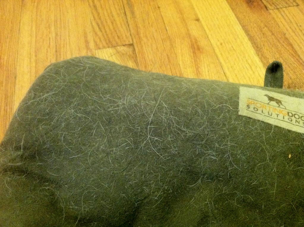 How do I remove dog hair from a dog bed?