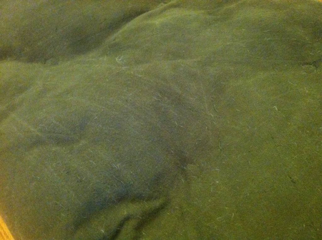 How do I remove dog hair from a dog bed?