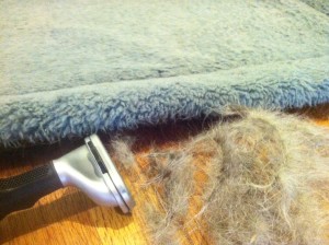 Dog hair removed from the dog bed using the FURminator
