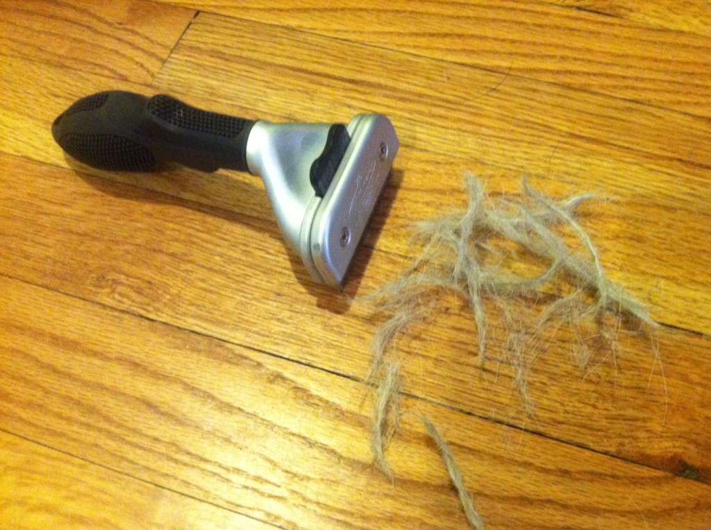 How do I remove dog hair from a dog bed?