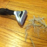 Pile of dog hair removed from dog bed