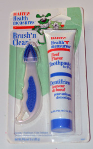 Toothbrush kit